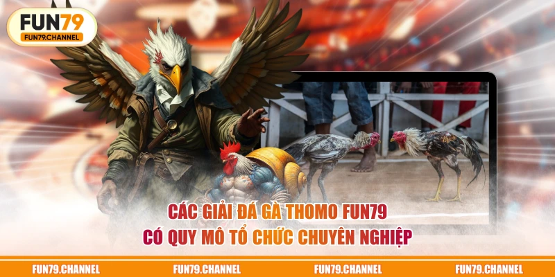 Các giải đá gà Thomo FUN79 có quy mô tổ chức chuyên nghiệp