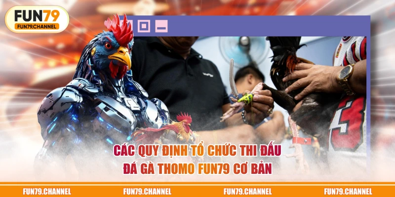 Các quy định tổ chức thi đấu đá gà Thomo FUN79 cơ bản