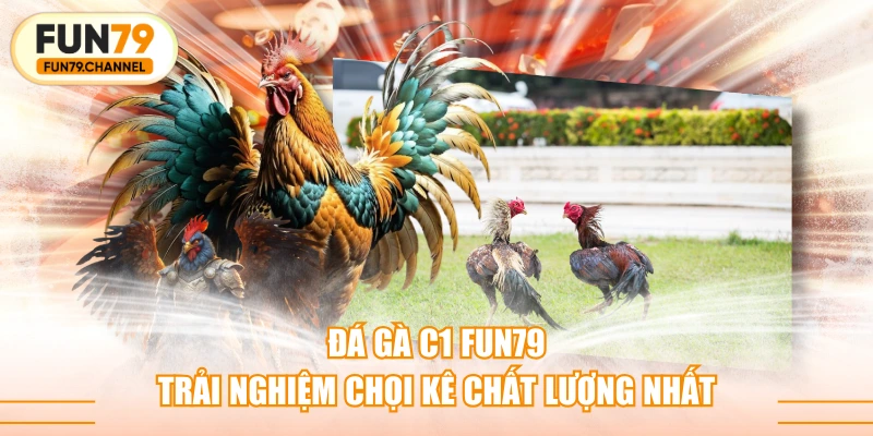 Đá Gà C1 FUN79 - Trải Nghiệm Chọi Kê Chất Lượng Nhất