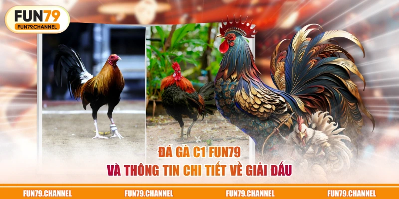 Đá gà C1 FUN79 và thông tin chi tiết về giải đấu