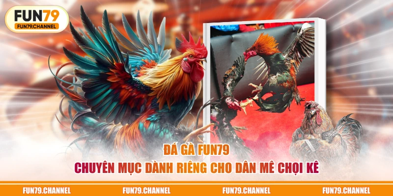Đá Gà FUN79 - Chuyên mục dành riêng cho dân mê chọi kê