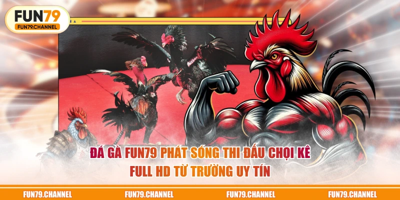 Đá Gà FUN79 phát sóng thi đấu chọi kê full HD từ trường uy tín