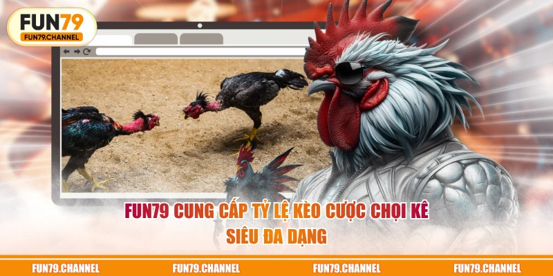 FUN79 cung cấp tỷ lệ kèo cược chọi kê siêu đa dạng