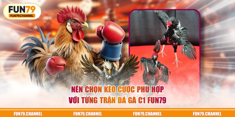 Nên chọn kèo cược phù hợp với từng trận đá gà C1 FUN79Nên chọn kèo cược phù hợp với từng trận đá gà C1 FUN79